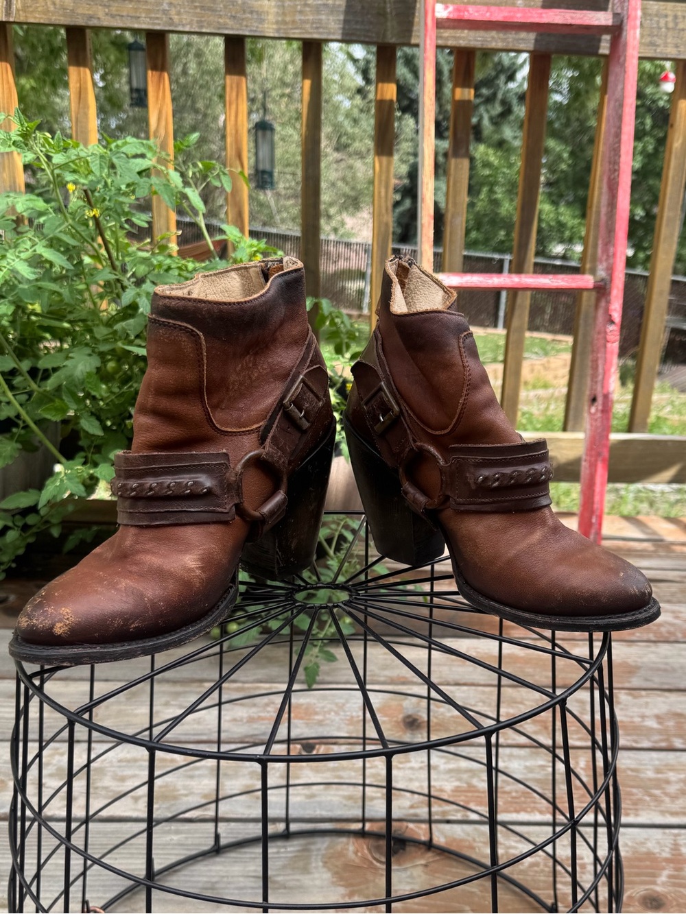 Freebird Ankle Booties